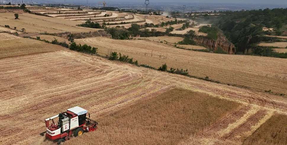 War, soaring prices, and now drought threaten global food supplies