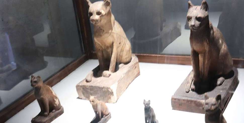 Sacred cats: Mummies go on display at Egypt’s Imhotep Museum