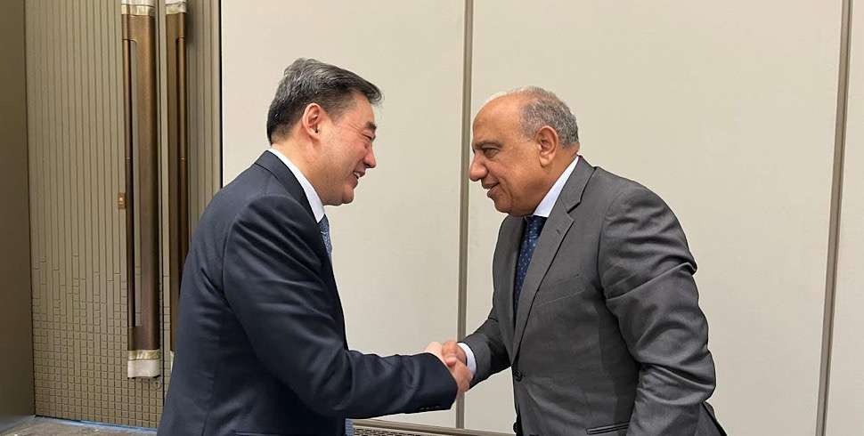 Chinese investment in Egypt’s renewable energy set to increase