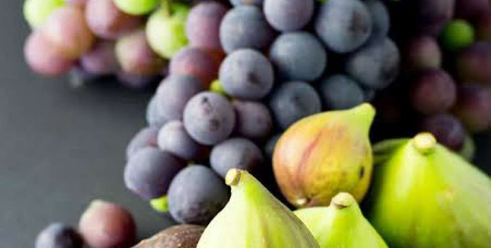 Egypt pushes for global recognition of unique agricultural products