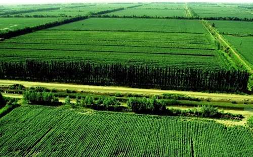 China’s Xinjiang leads a green revolution