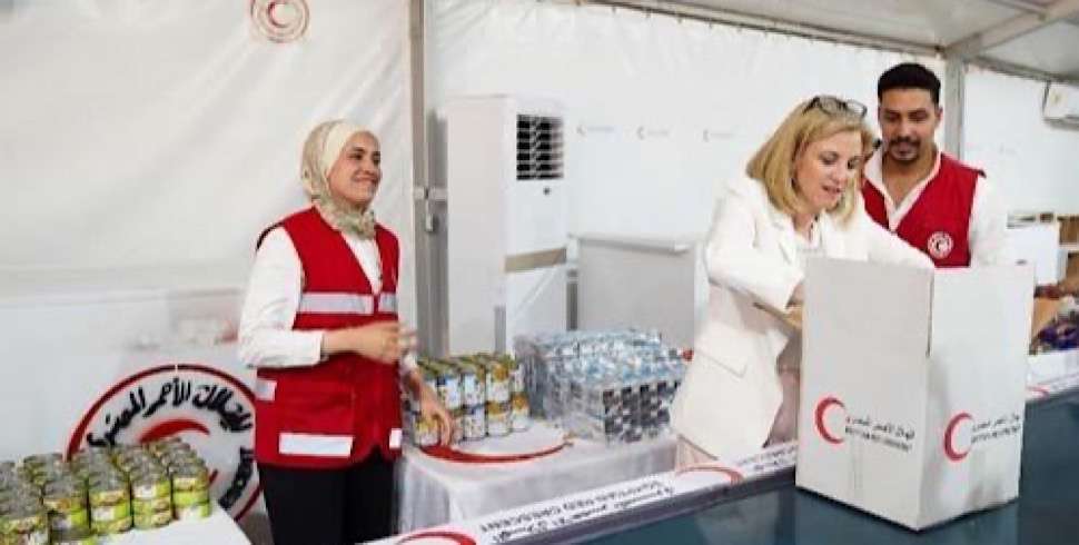 Austrian FM praises Egypt’s efforts supporting war-affected regions, especially Gaza