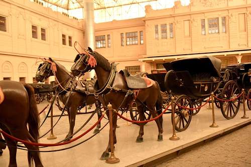 Royal Carriages Museum opens pioneering library in Cairo