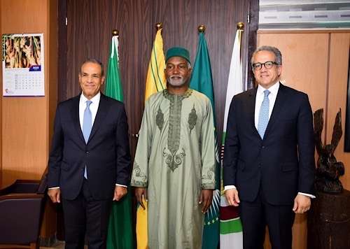 Nigeria officially endorses Egypt’s Khaled El-Anany for UNESCO Director-General