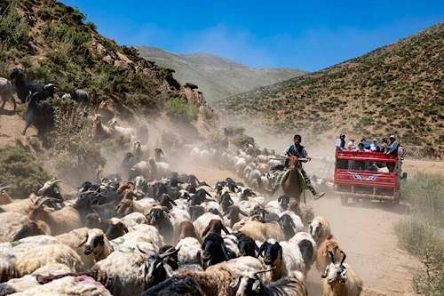 Kurdish farmers return to Hakkari’s Highlands as PKK tensions ease