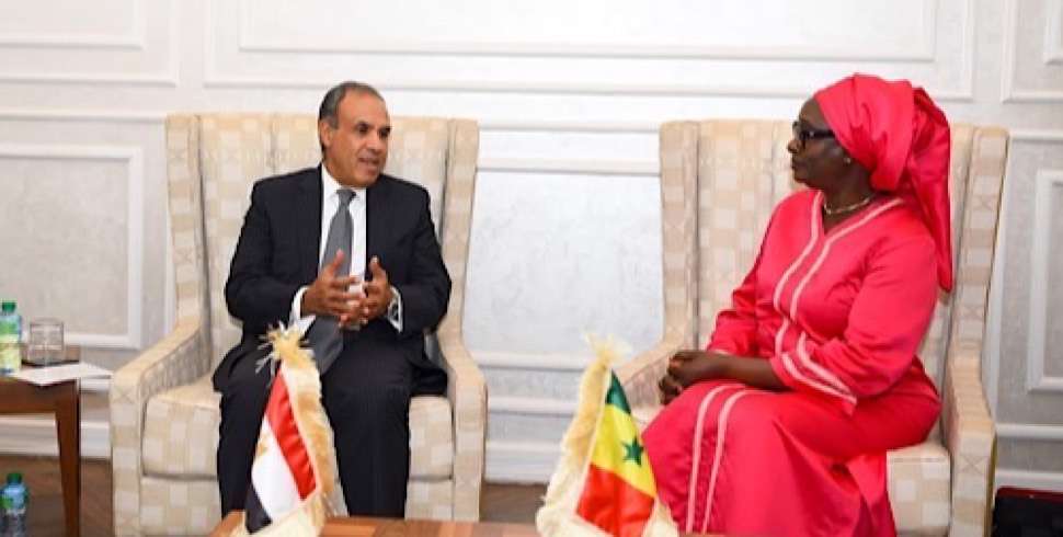 Egypt and Senegal hold talks to boost strategic partnership