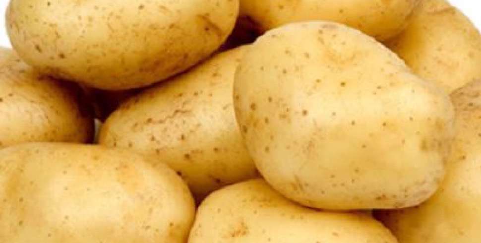 EU eases entry for Egyptian potato exports