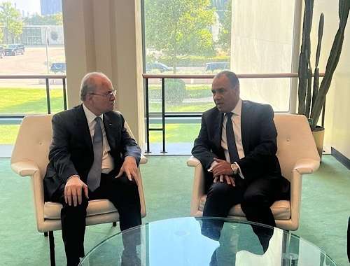 At UN summit, Egypt reaffirms support for Palestinian statehood, ceasefire in Gaza