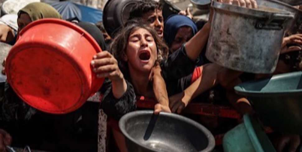 Gazans call on Witkoff to witness true hardship