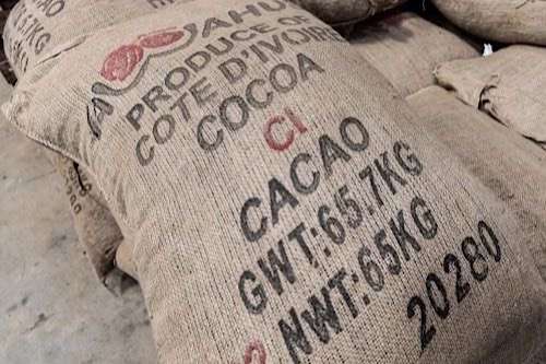 Poor cocoa harvest in West Africa threatens global supply, prices set to rise