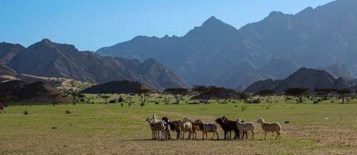 Discover Hala’ib and Shalateen: Egypt’s hidden gem in the far south