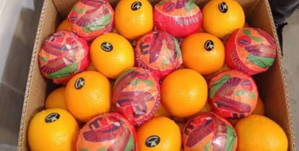 Egypt sets new record for agricultural exports