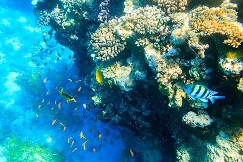 Sharm El-Sheikh named a top 20 global tourist destination for November 2025