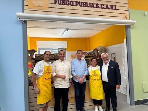 Egypt seeks to replicate Italy’s Farmers’ Market model to empower farmers, consumers