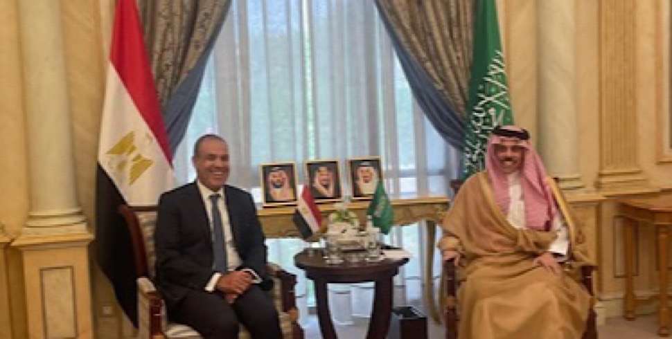 Egypt and Saudi Arabia deepen strategic cooperation, address regional crises