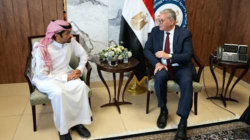 Egypt and Saudi Arabia discuss boosting investment in petrochemical and fertilizer industries