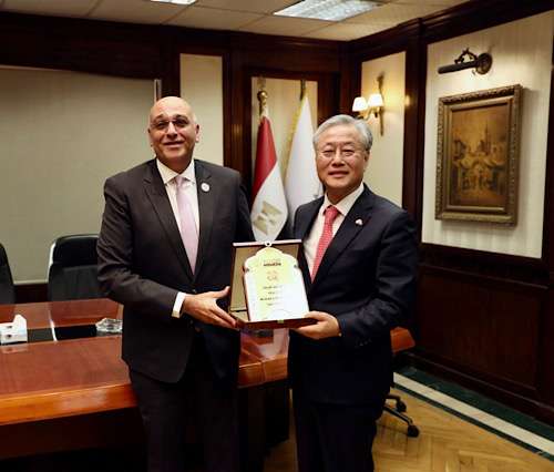 Egyptian MSMEDA explores cooperation with South Korea