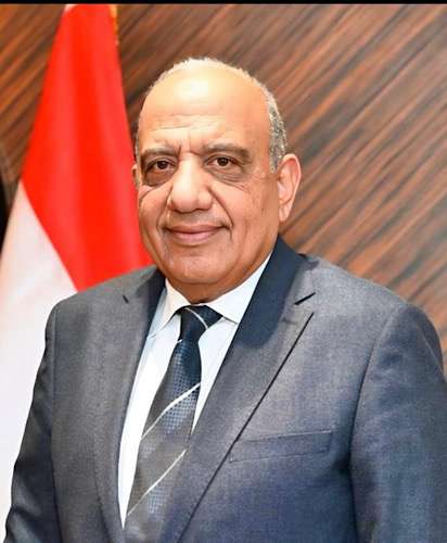 Egypt's Minister of Electricity attends World Atomic Week in Russia