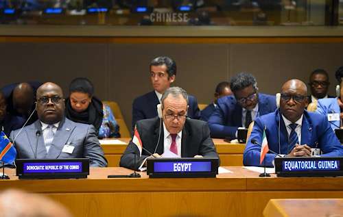 Egypt calls for revitalized African efforts to prevent, resolve conflicts