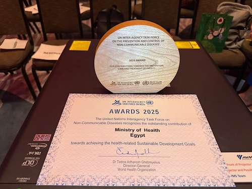 Egypt wins 2025 UN award for innovative obesity prevention efforts