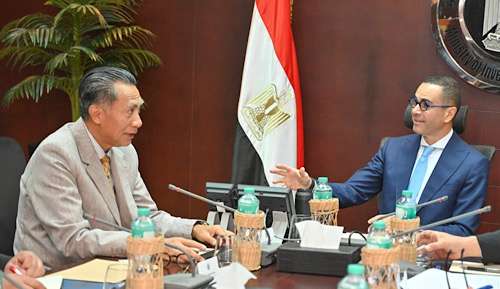 Egypt and Indonesia eye deeper economic and investment cooperation