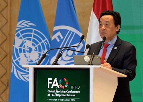 FAO leader applauds Egypt, urges action on food security