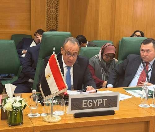 Egypt reaffirms support for Somalia’s unity 