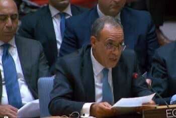 Egypt reaffirms its firm position on the Palestinian cause