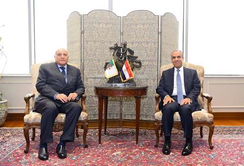 Egypt, Algeria FMs meet in Cairo for talks on bilateral ties, regional crises