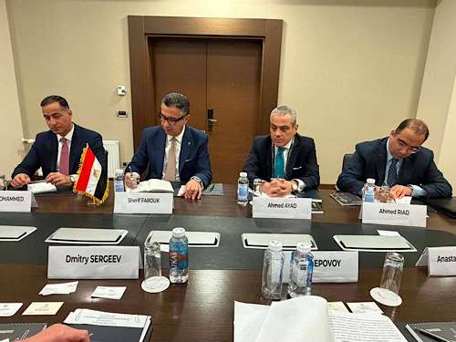 Egypt seeks long-term Russian wheat supply deals