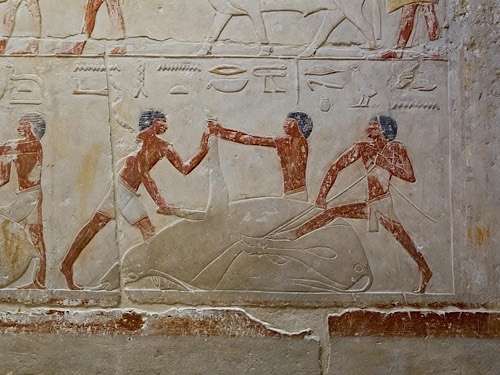 Ancient Egypt’s animal‑sacrifice rituals revealed, says expert