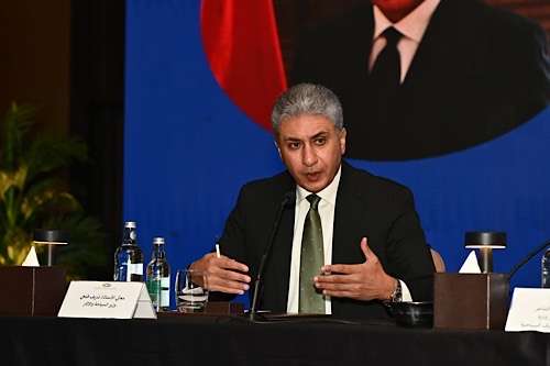Egypt tourism chief says sector grows despite regional tensions