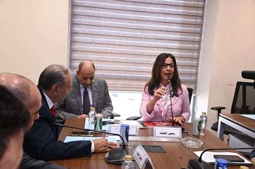 Safeguarding Egyptian identity is cornerstone of national security