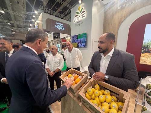 Egypt’s agriculture minister promotes produce exports at Madrid trade fair