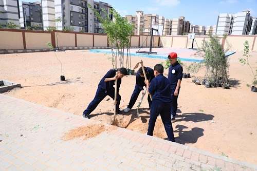 Egypt’s tree-planting drive adds 150 trees to Cairo school