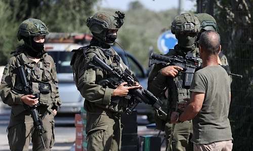 Settlers damage olive trees in Salfit